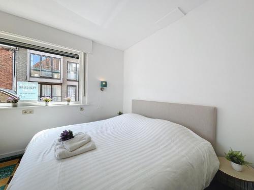 Maison Alina - De Panne