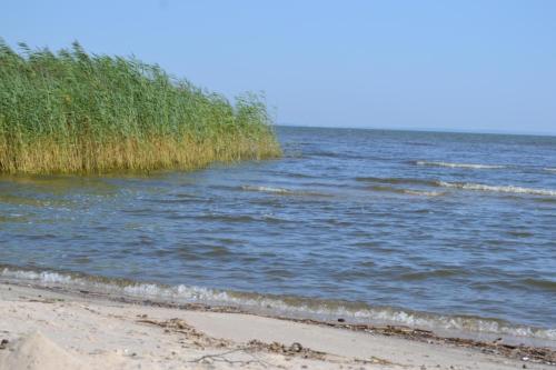 Strand, Ferienwohnung am Haff in Grambin