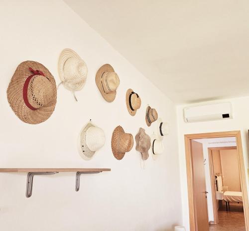 Agriturismo Il Migliarino