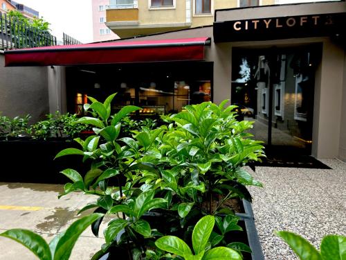 Cityloft 36, Istanbul