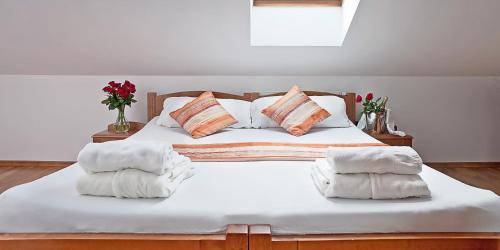 Wellness Hotel Kolštejn
