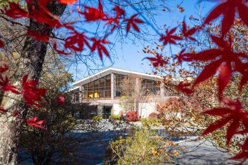 Motosu Phoenix Hotel - Fujikawaguchiko