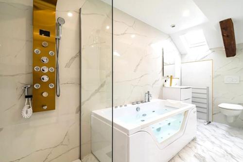 Suite Balnéo hydromassage et rétroprojecteur - Location saisonnière - Reims