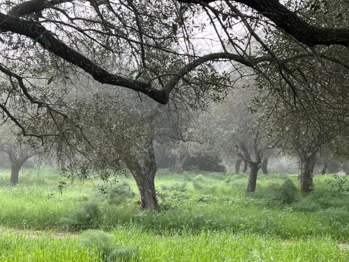 Muristene Pozzo Santa Cristina