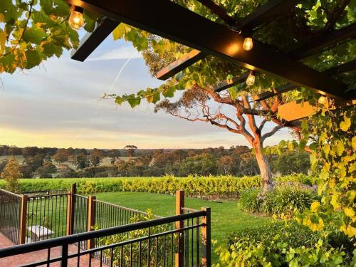 Vrt, Mount Bold Estate in Mclaren Vale