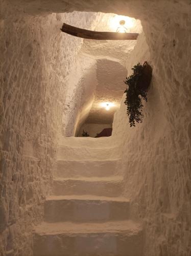 Cueva la Trapera in Benamaurel
