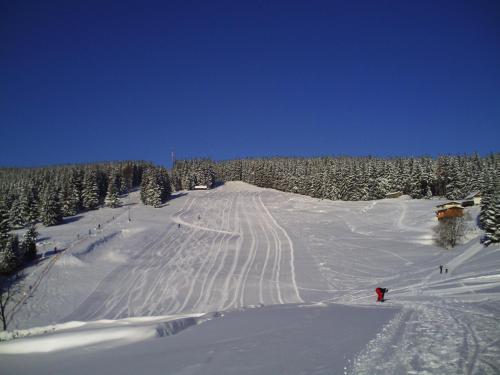 Rennsteighotel Gruner Baum