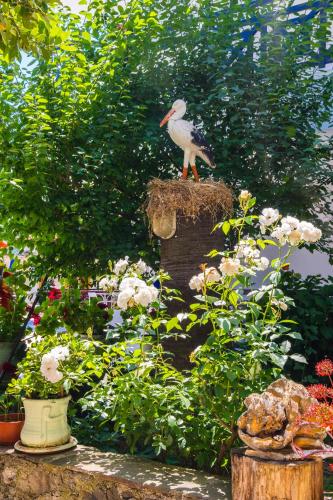 Naturella Hotel & Apart
