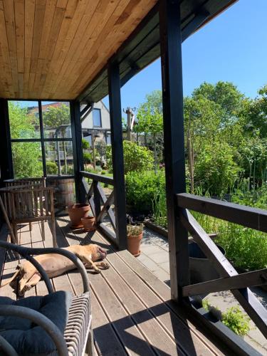 花園, Bed and Breakfast Lokaal Wadway in 沃琳
