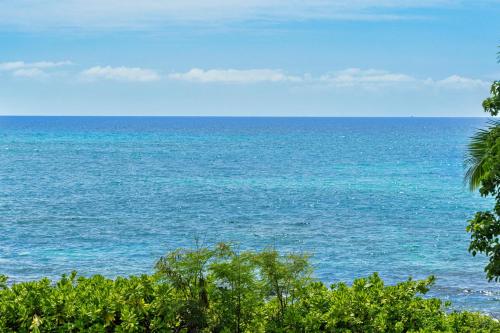 Kona Palms#201 - image 5