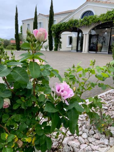 Le Renaissance - main image