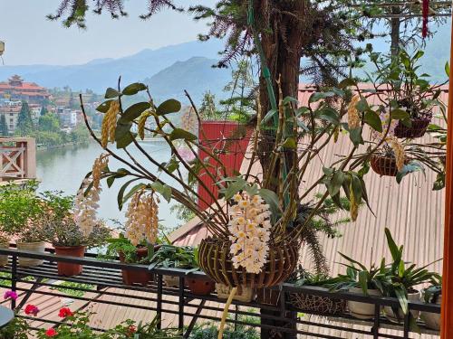 Dang Khoa Garden Inn in Sapa