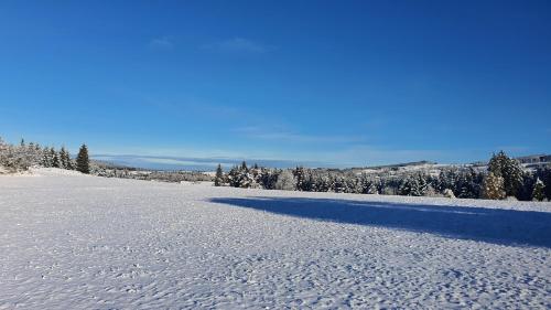 A l'orée des volcans