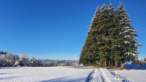 A l'orée des volcans