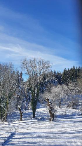 A l'orée des volcans