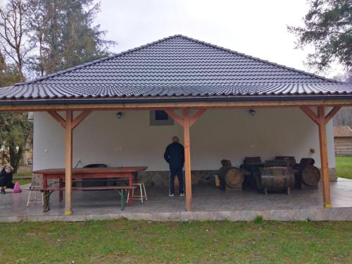 Casa Veverițelor - Căsoaia (Casa Veveritelor - Casoaia) in Şiria