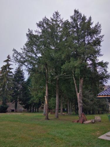 Casa Veverițelor - Căsoaia (Casa Veveritelor - Casoaia) in Şiria