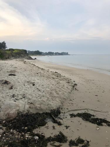 Viree en famille sur la presqu ile de Quiberon