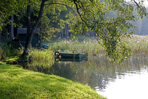 Jabłoń Lake Resort - image 11
