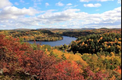 Nature Eco Suite in Wakefield Quebec