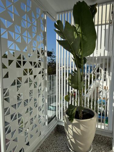 Catherine Hotel - image 12