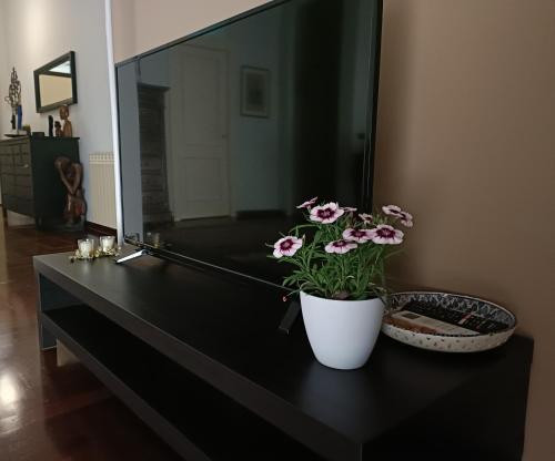 onoratocinque house apartment, Palermo (fotografie 8)
