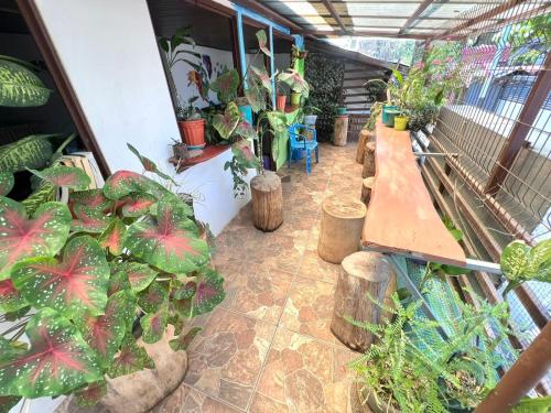 Cheap Hostel Quepos in Quepos
