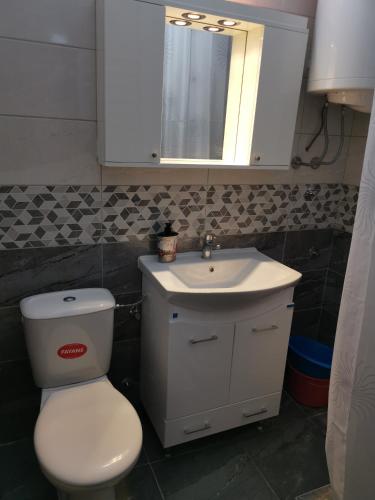 Sokobanja apartman Aviva