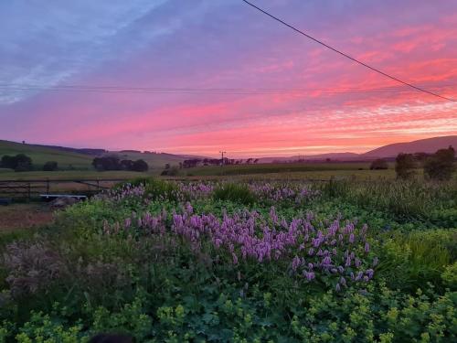 ทัศนียภาพ, Charming Parlour Cottage at Tinto Retreats near Biggar in บิกเกอร์