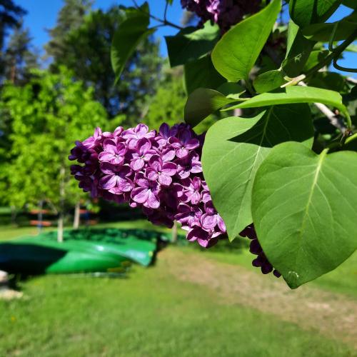 UPES 19, Cēsis (photo 10)