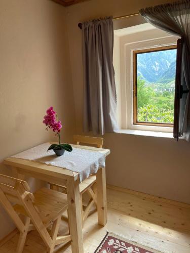 Guesthouse "Gjin Thana" in Qender Theth