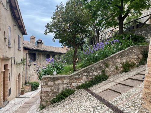 La vecchia vite casa vacanze