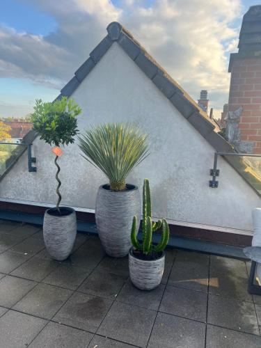 Penthouse with awesome terrace and free parking, Courtrai (foto 8)