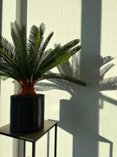 Penthouse with awesome terrace and free parking, Courtrai (foto 6)