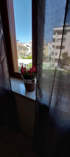 B&B New Acropolis – Agropoli, UT