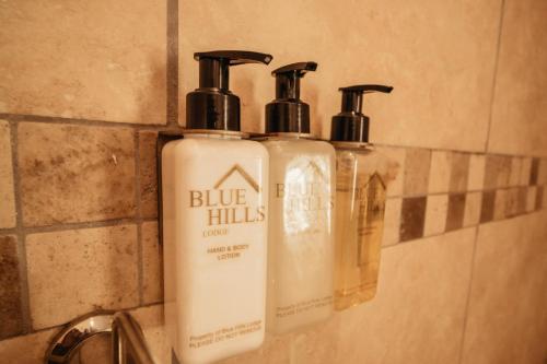 Blue Hills Lodge - image 3