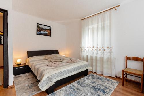 Cabana ZIP in Măgura (Brasov)