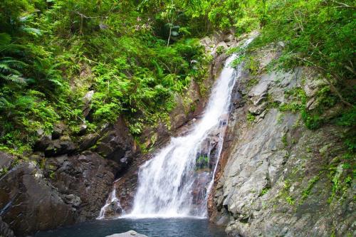 海と山と川!やんばるの大自然に囲まれた戸建ての宿 海と山と川!やんばるの大自然に囲まれた戸建ての宿