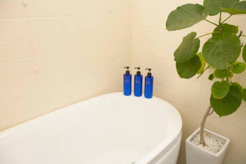 海と山と川!やんばるの大自然に囲まれた戸建ての宿 海と山と川!やんばるの大自然に囲まれた戸建ての宿