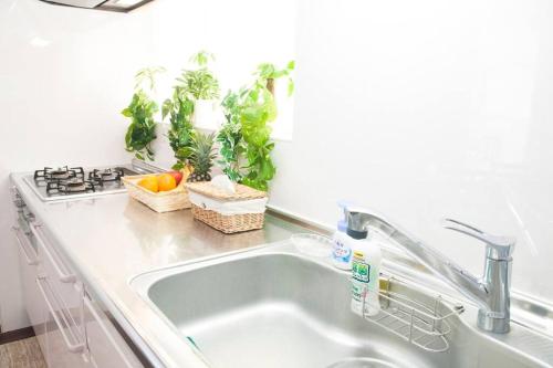 海と山と川!やんばるの大自然に囲まれた戸建ての宿 海と山と川!やんばるの大自然に囲まれた戸建ての宿