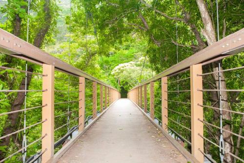 海と山と川!やんばるの大自然に囲まれた戸建ての宿 海と山と川!やんばるの大自然に囲まれた戸建ての宿