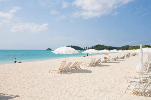 海と山と川!やんばるの大自然に囲まれた戸建ての宿 海と山と川!やんばるの大自然に囲まれた戸建ての宿