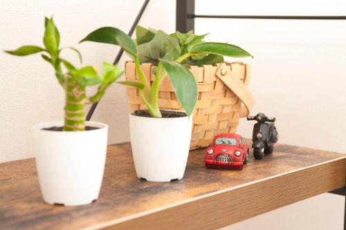 海と山と川!やんばるの大自然に囲まれた戸建ての宿 海と山と川!やんばるの大自然に囲まれた戸建ての宿