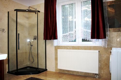 Dom w Bieszczadach 10 osobowy in Wolkowyja