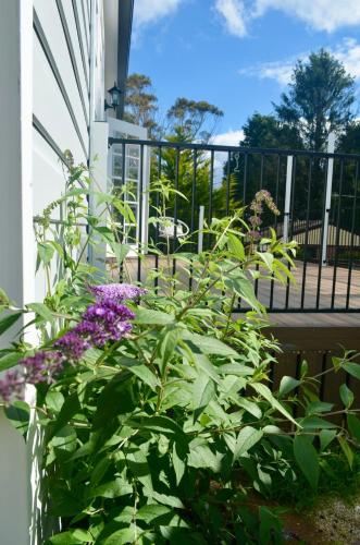 Charming Mountain Escape - Katoomba