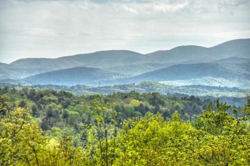 Away From it All in Mineral Bluff, USA