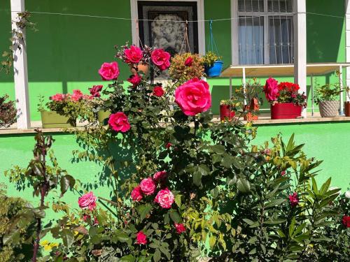 Jardín, VILLA MEYSARY in Samaxi