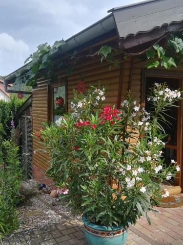 Ferienwohnung Edersonne - Apartment - Hemfurth-Edersee