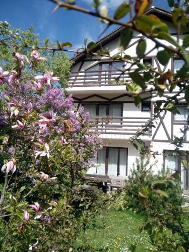Vintage House Busteni