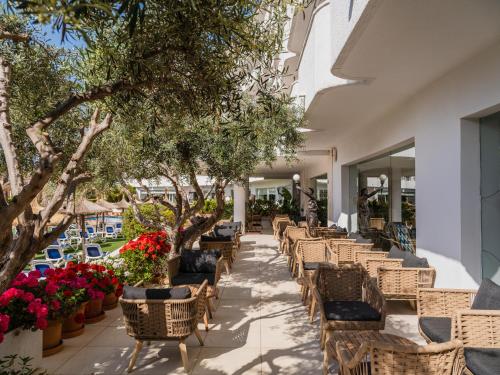Pub/Hol, Grupotel Maritimo in Mallorca